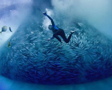 Ocean Film Festival 2018