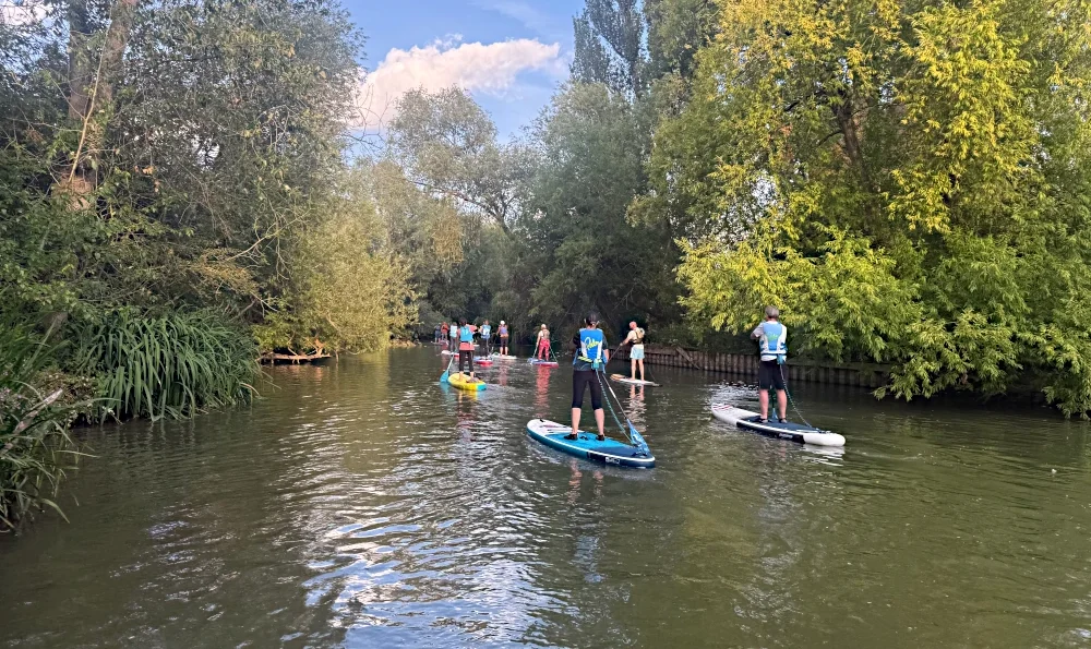 Stand up paddleboarders Paddleboarding down an english river bordered by trees